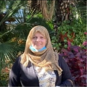 اعلام University of Babylon - كلية تكنلوجيا المعلومات