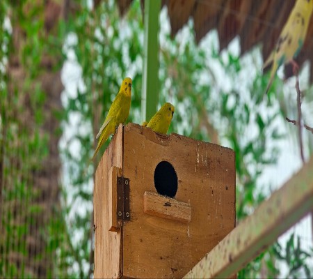اعلام جامعة بابل - كلية الطب