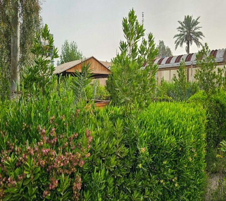 اعلام جامعة بابل - كلية الطب