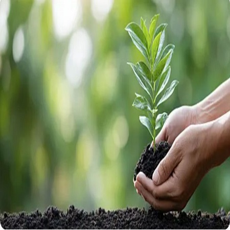 اعلام جامعة بابل - كلية الادارة والاقتصاد