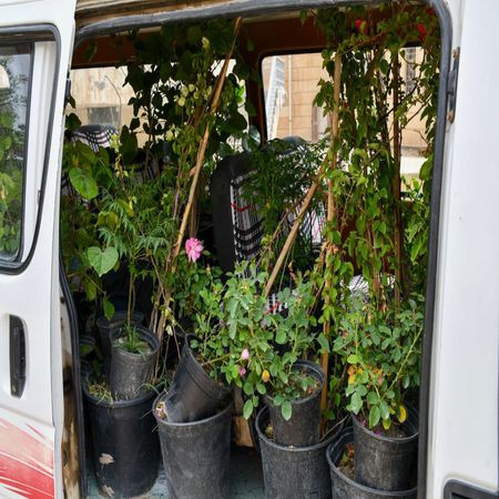 اعلام جامعة بابل - كلية الطب