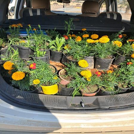 اعلام جامعة بابل - كلية الطب