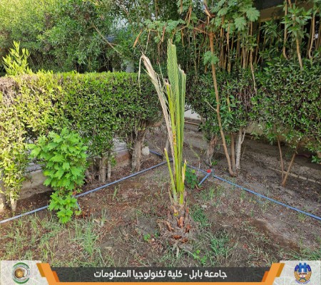 Media of University of Babylon - كلية الطب