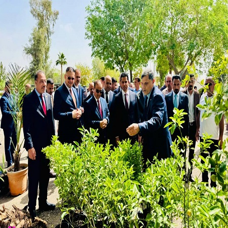 Media University of Babylon - Faculty of Medicine