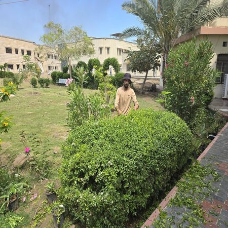 اعلام جامعة بابل - كلية الطب