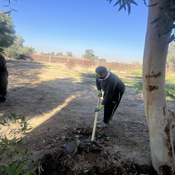 اعلام جامعة بابل - كلية الادارة والاقتصاد