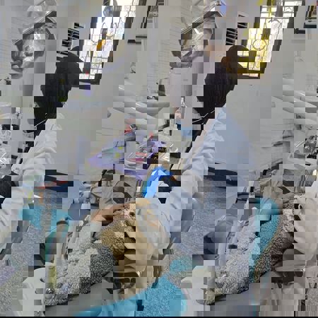 اعلام جامعة بابل - كلية الطب