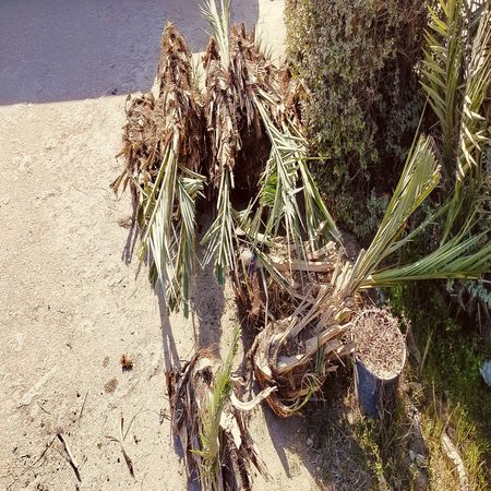 اعلام جامعة بابل - كلية الطب