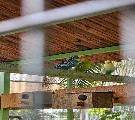 اعلام جامعة بابل - كلية الطب