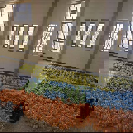 اعلام جامعة بابل - كلية الطب