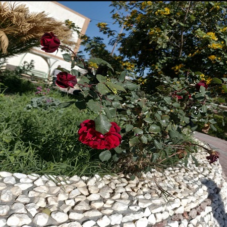 اعلام جامعة بابل - كلية الادارة والاقتصاد