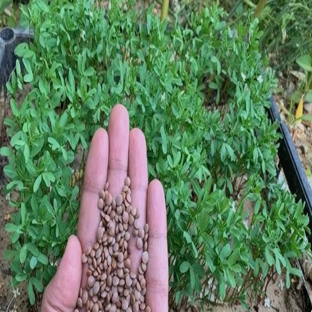 اعلام جامعة بابل - كلية الادارة والاقتصاد