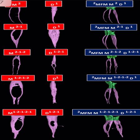 اعلام جامعة بابل - كلية الطب