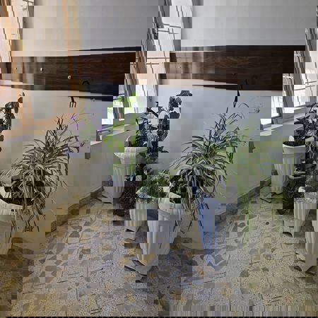 اعلام جامعة بابل - كلية الطب