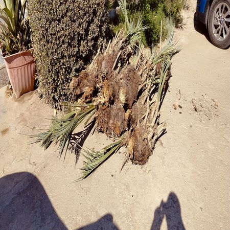 اعلام جامعة بابل - كلية الطب