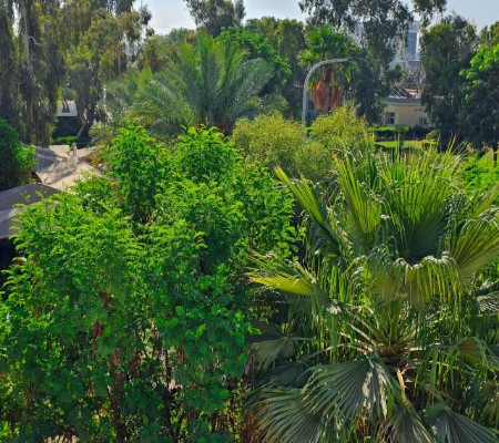 Media of University of Babylon - كلية الطب