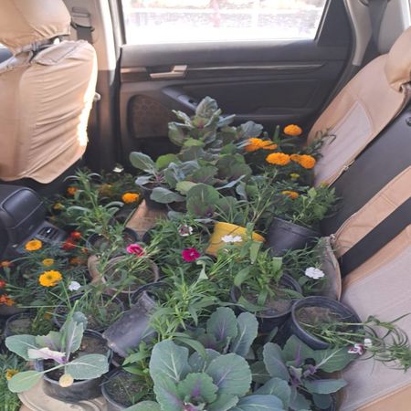 اعلام جامعة بابل - كلية الطب