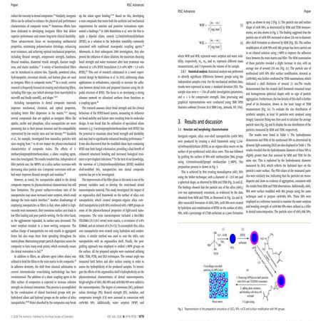 اعلام جامعة بابل - كلية الطب