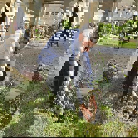 اعلام جامعة بابل - كلية الطب