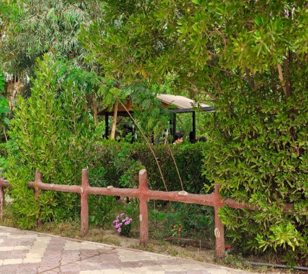 اعلام جامعة بابل - كلية الطب