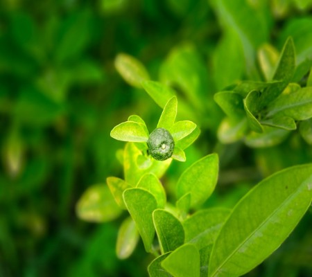 اعلام جامعة بابل - كلية الطب