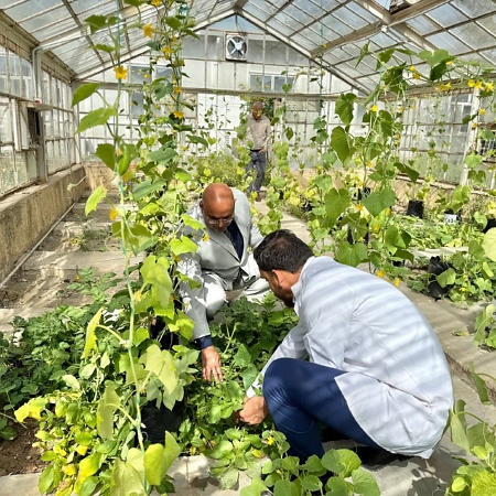 اعلام جامعة بابل - كلية العلوم