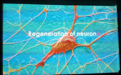 اعلام جامعة بابل