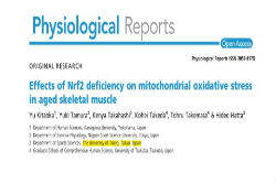 اعلام جامعة بابل