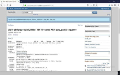اعلام جامعة بابل