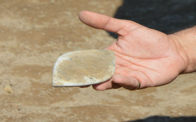 اعلام جامعة بابل