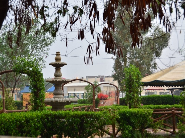 Babylon University News