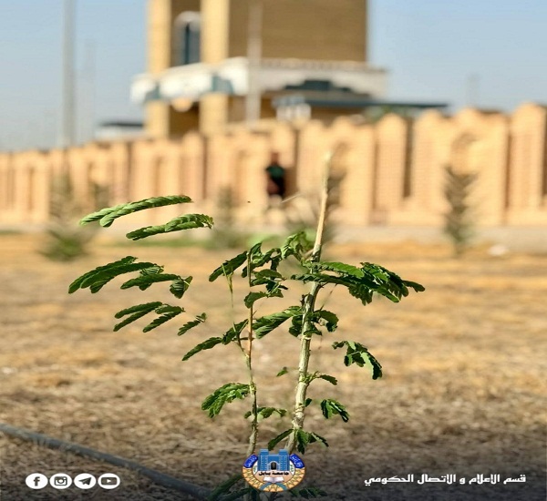 اعلام جامعة بابل