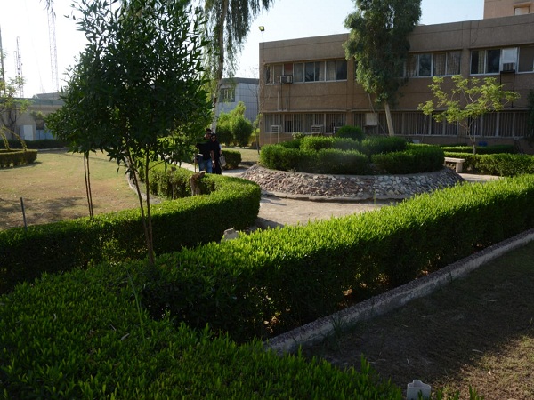 Babylon University News