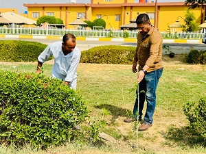 جامعة بابل تنفذ حملة تشجير واسعة بمناسبة يوم التشجير الوطني