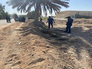 جامعة بابل تطلق حملة لزراعة الأشجار والنباتات داخل الحرم الجامعي