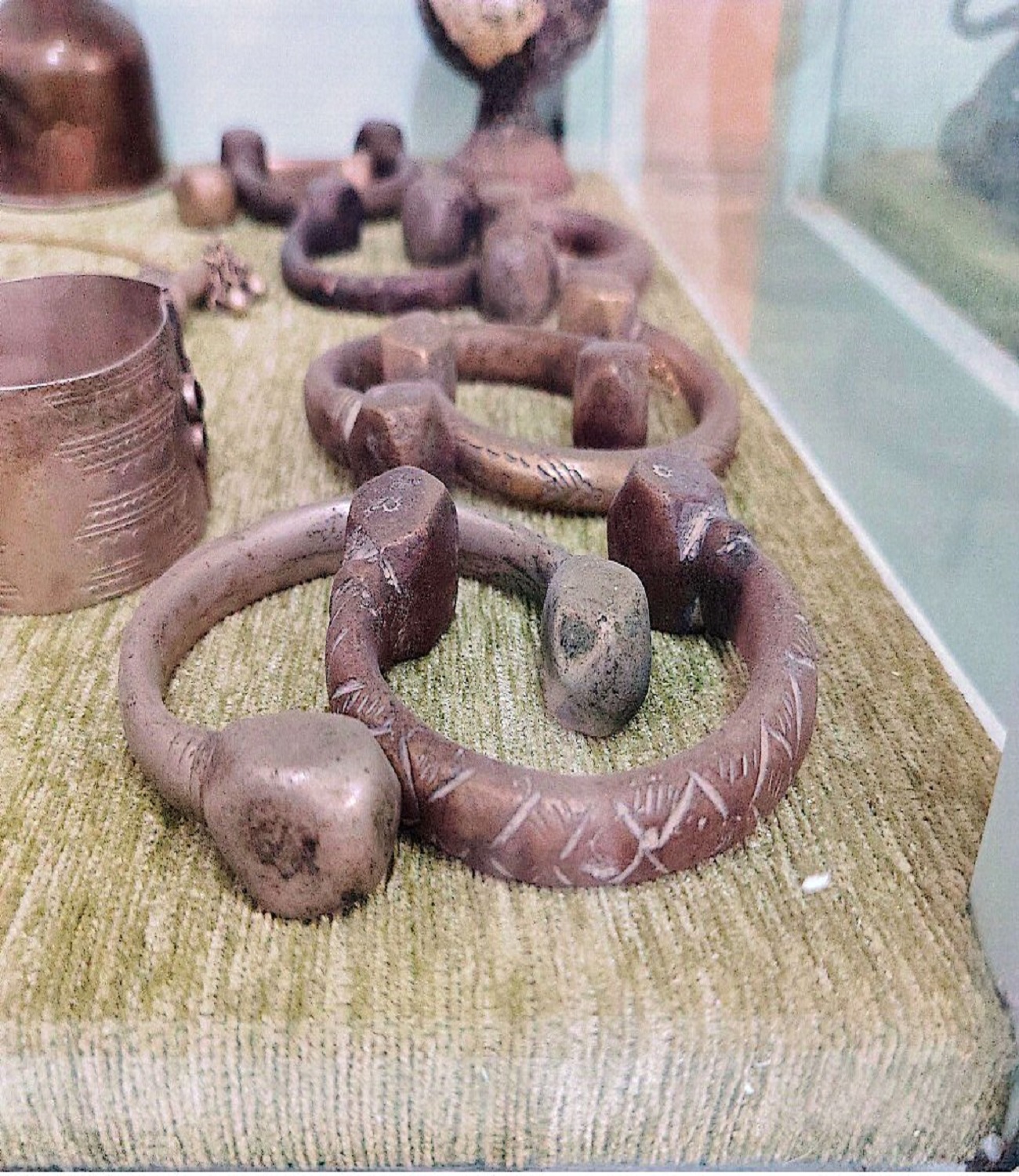الحجل